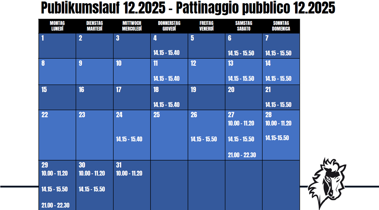 publikumslauf-12-2025