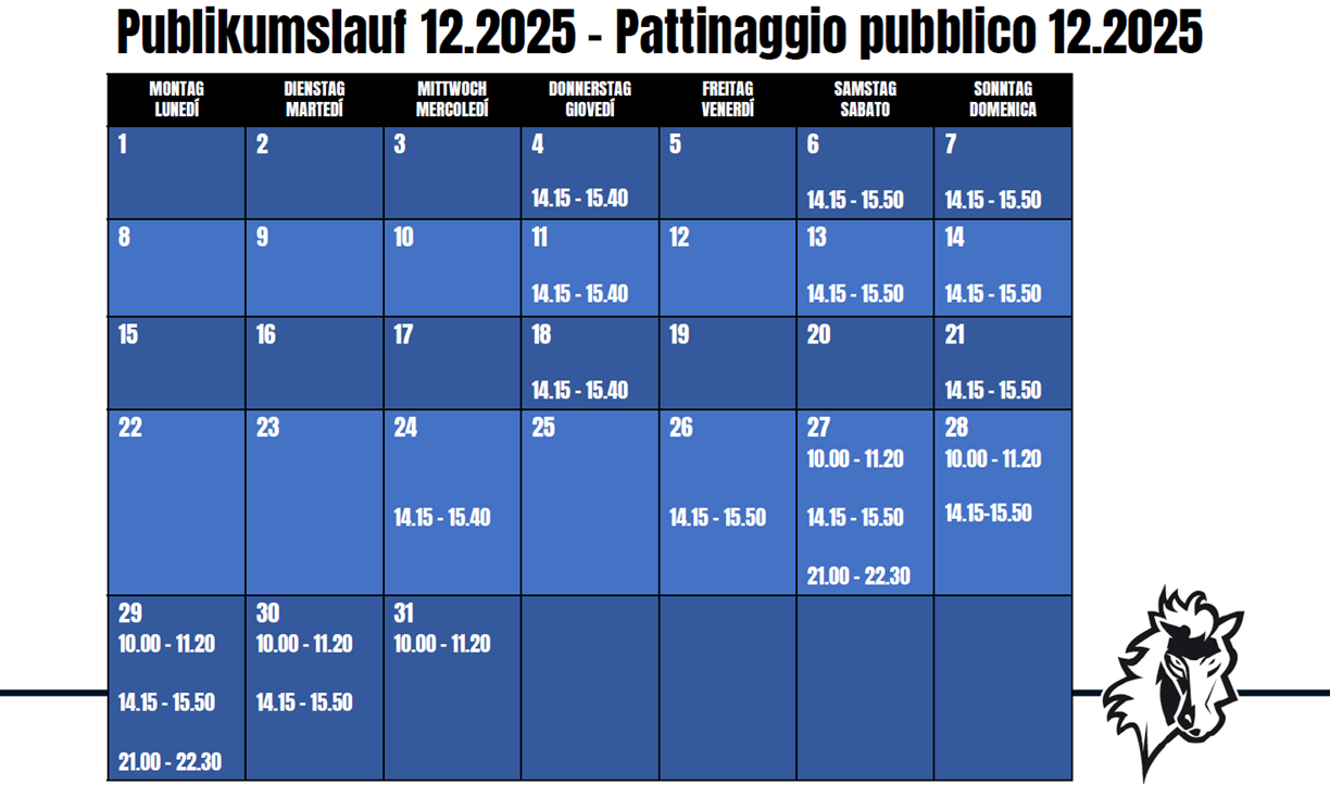 publikumslauf-12-2025