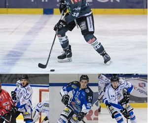 hofer-messner-maffia-bernard