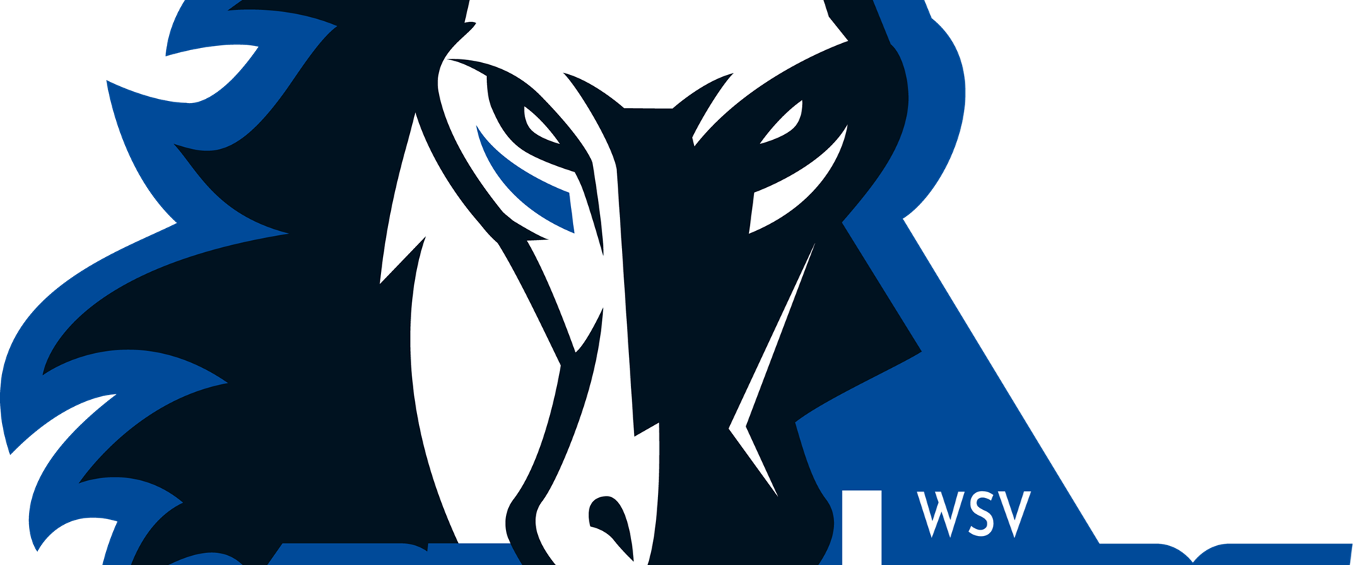 broncos-wipptal-logo-4c