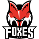 team-hc-bozen-foxes