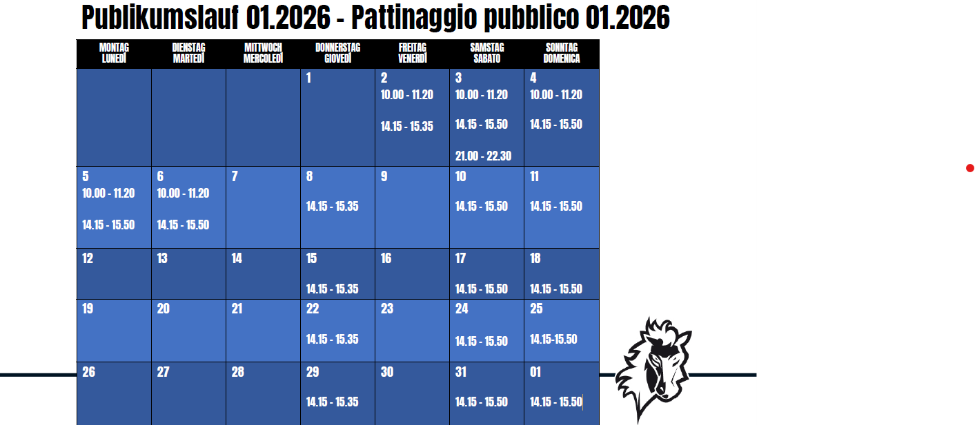 publikumslauf-2026-01