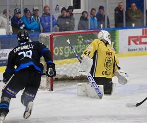 wipp-celje