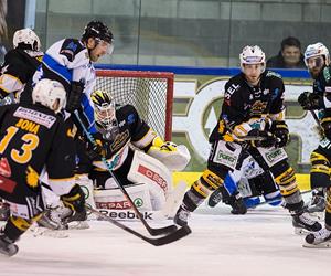 2015-10-10-wsv-hcp-web