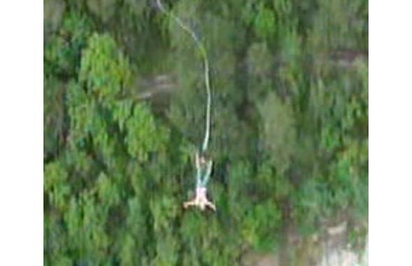 bungee